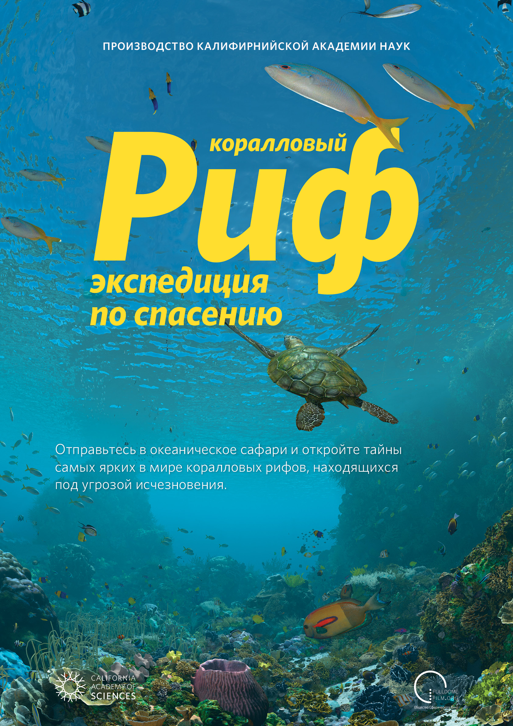 Фото - постер к Кино Коралловый риф. Экспедиция по спасению на kudapoiti.by
